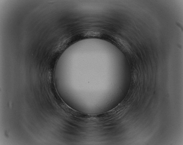 X0000094950551200711291107