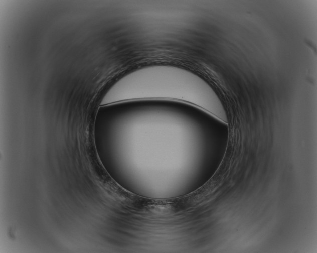 X0000094950552200711291107