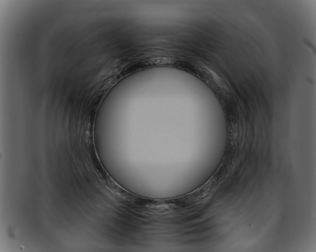 X0000094950553200711291107