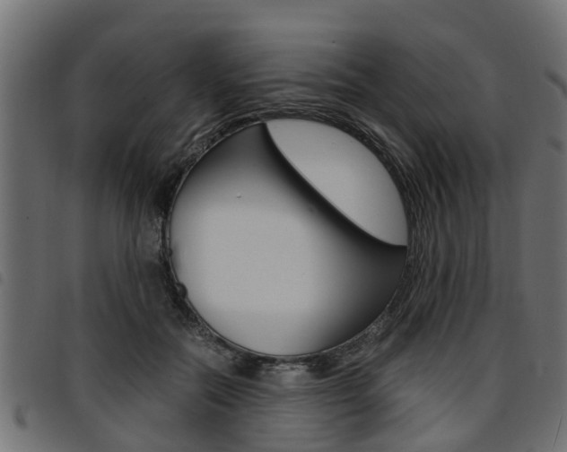 X0000094950554200711291107