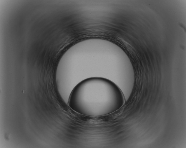 X0000094950556200711291108
