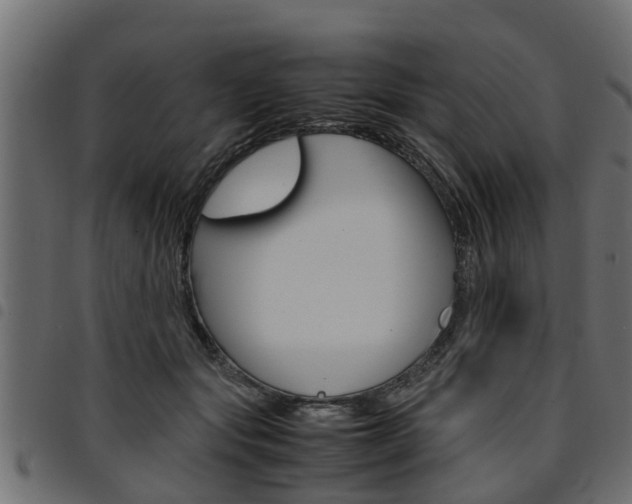X0000094950557200711291108