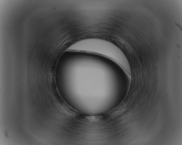X0000094950558200711291108