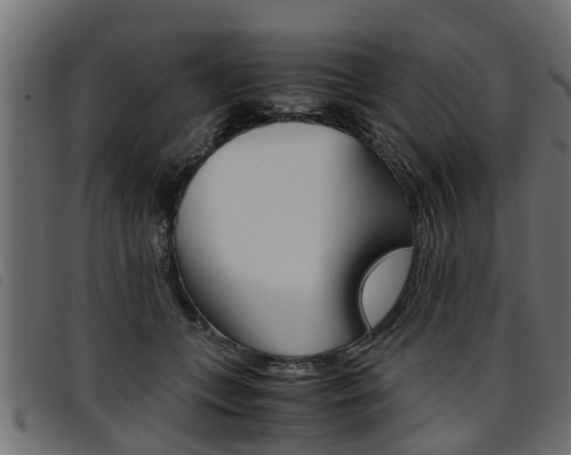 X0000094950559200711291108