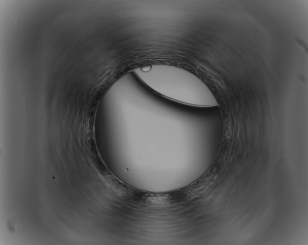 X0000094950560200711291108