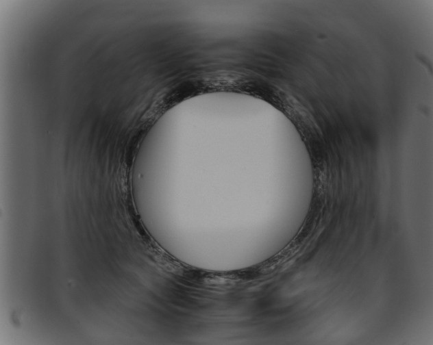 X0000094950561200711291108
