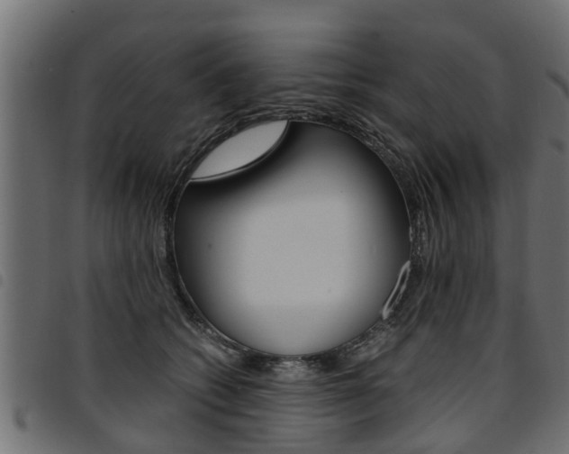 X0000094950562200711291108