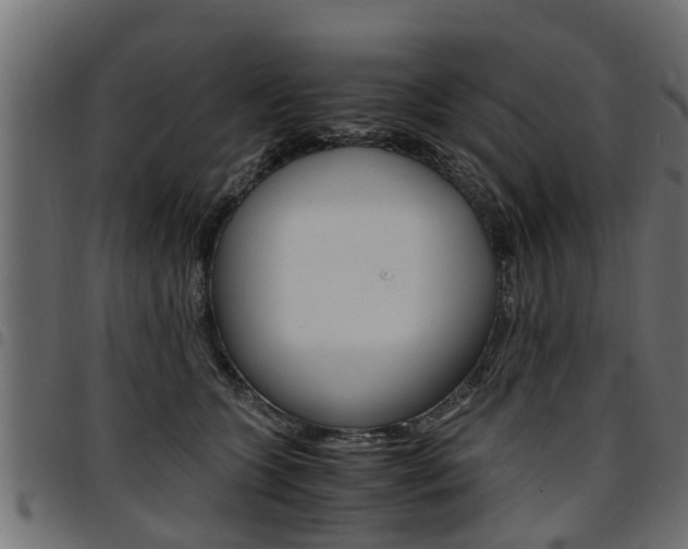 X0000094950563200711291108