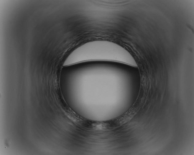 X0000094950564200711291108