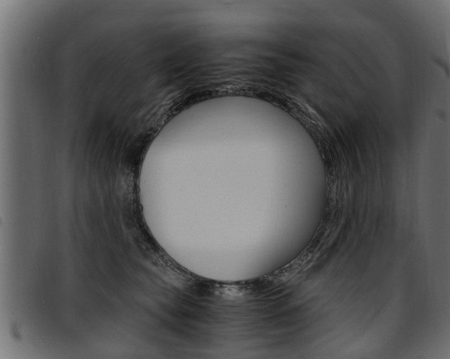 X0000094950565200711291108
