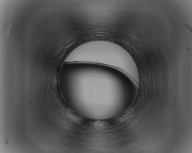 X0000094950566200711291108