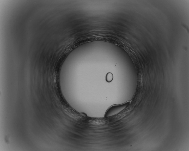 X0000094950567200711291108