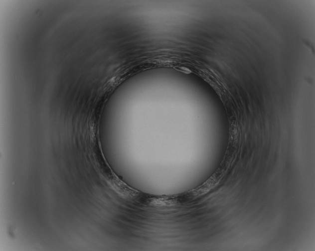 X0000094950568200711291108