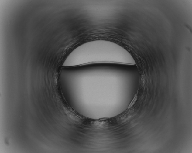 X0000094950570200711291108