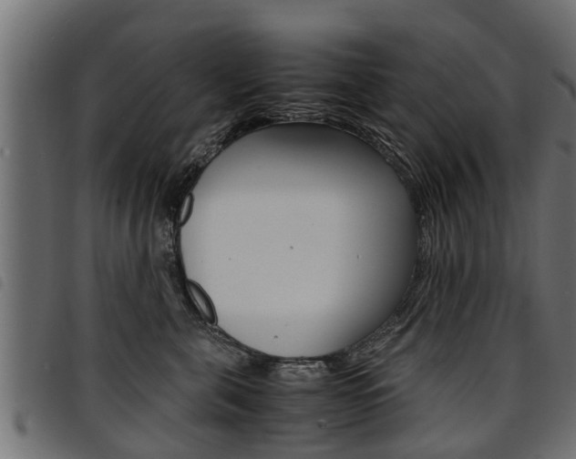 X0000094950571200711291108