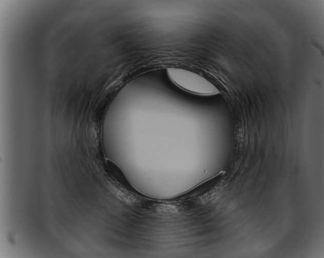 X0000094950572200711291108