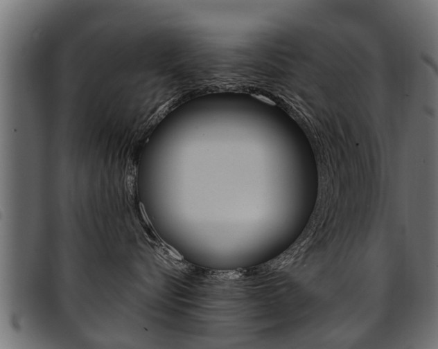 X0000094950576200711291108