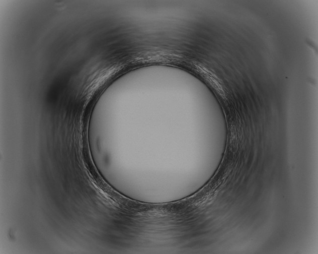 X0000094950578200711291107