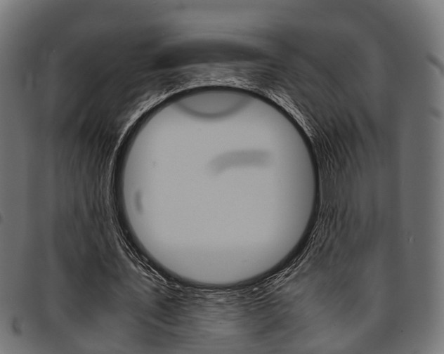 X0000094950579200711291107