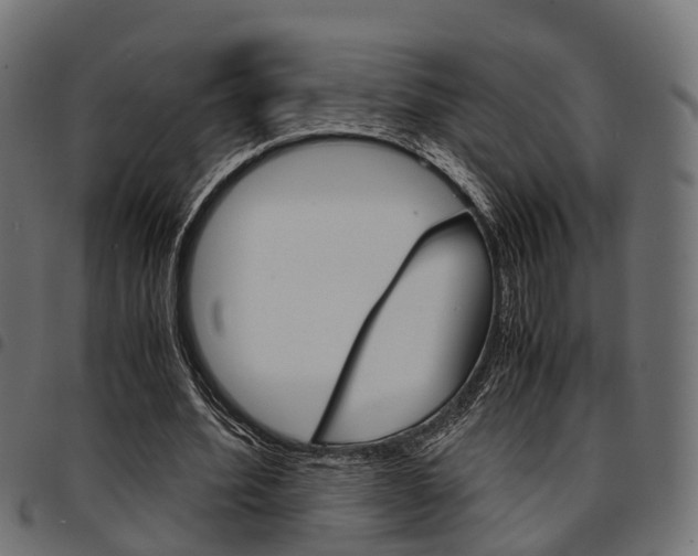 X0000094950580200711291107