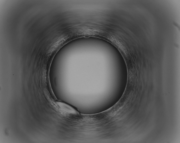 X0000094950581200711291107