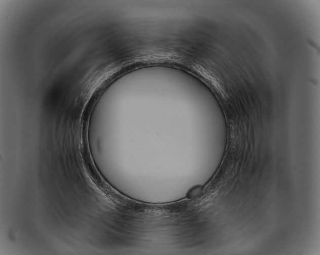 X0000094950582200711291107