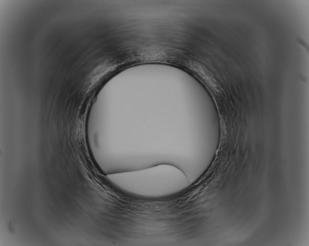 X0000094950583200711291107