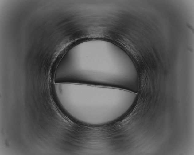 X0000094950584200711291107