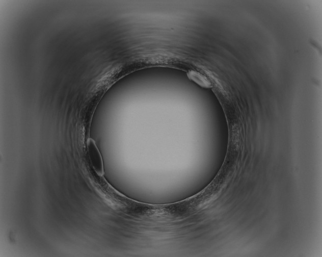 X0000094950589200711291107