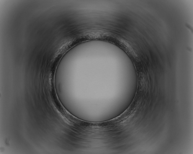 X0000094950590200711291107