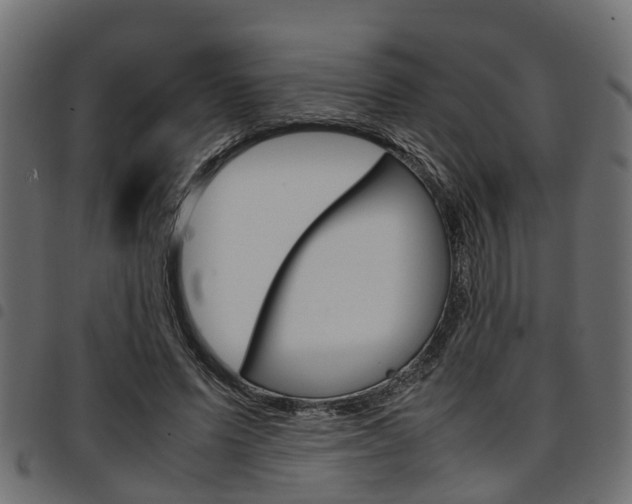 X0000094950591200711291107