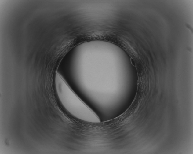 X0000094950593200711291107