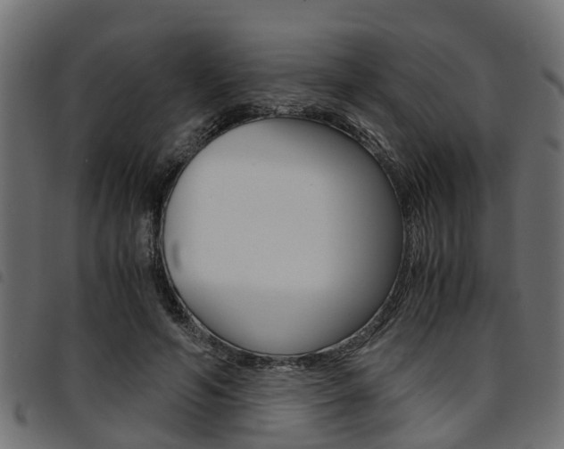 X0000094950594200711291107