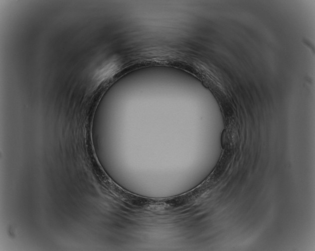 X0000094950595200711291107