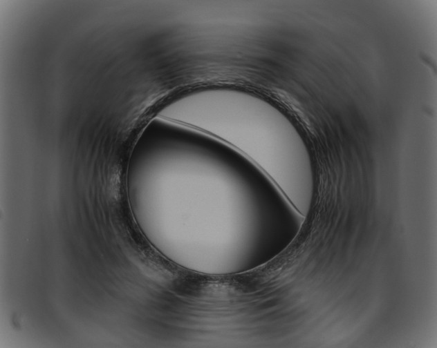 X0000094950596200711291107