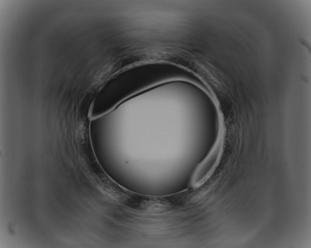 X0000094950597200711291107