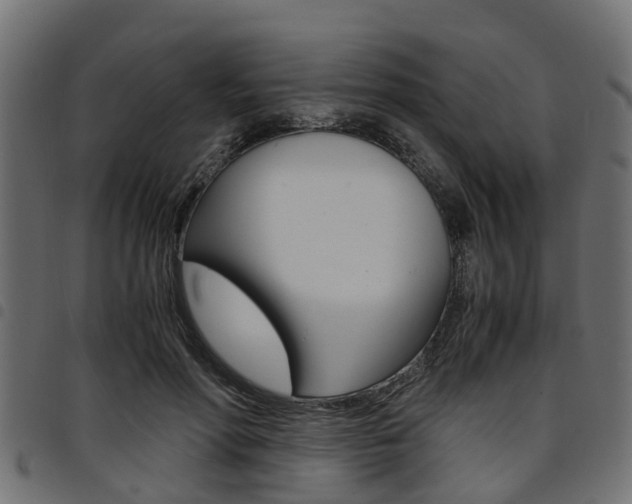 X0000094950598200711291107