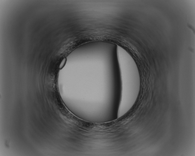 X0000094950599200711291107