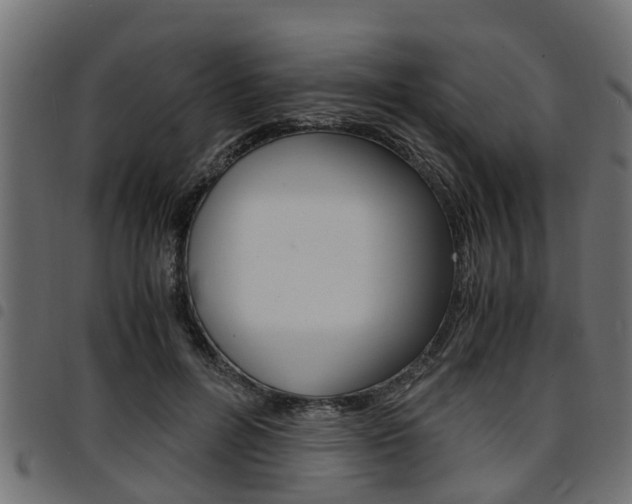 X0000094950600200711291107