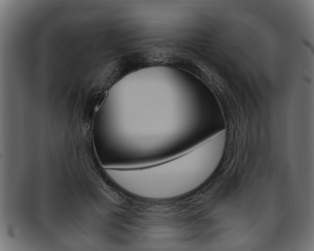 X0000094950601200711291107