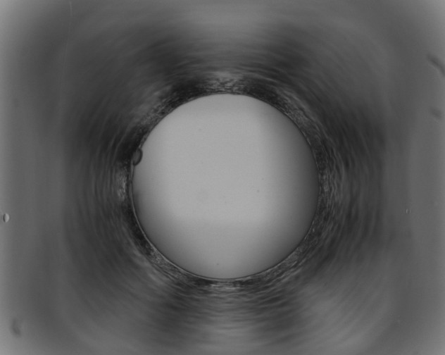 X0000094950602200711291107