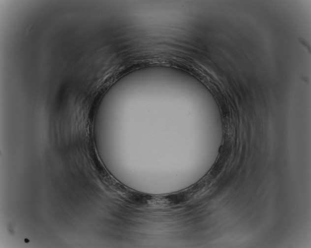 X0000094950603200711291107