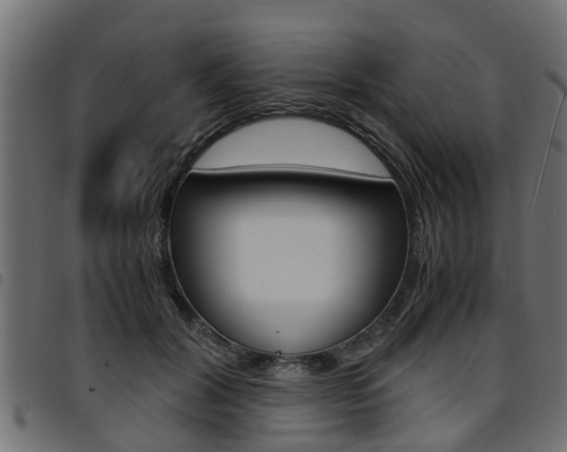 X0000094950604200711291107