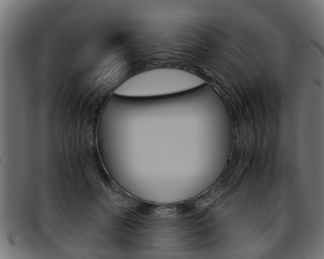 X0000094950606200711291107