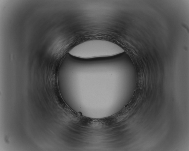 X0000094950608200711291107