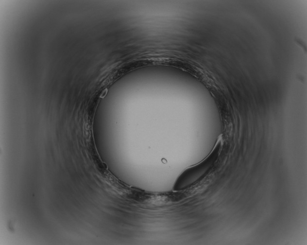 X0000094950609200711291107