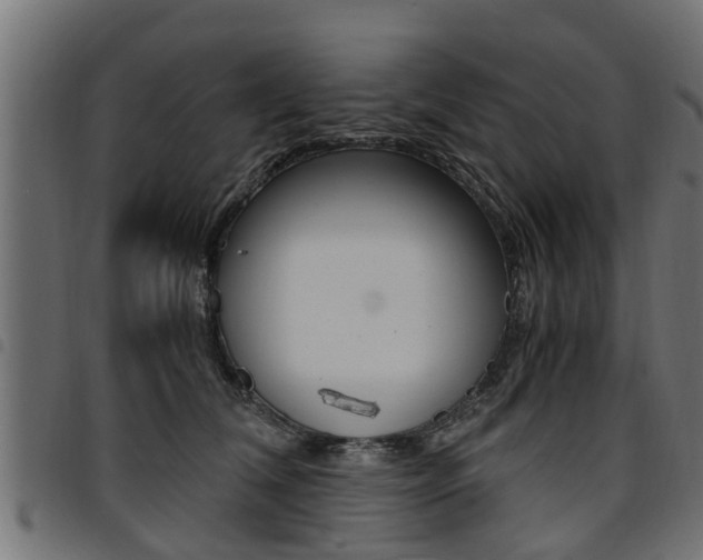 X0000094950612200711291106