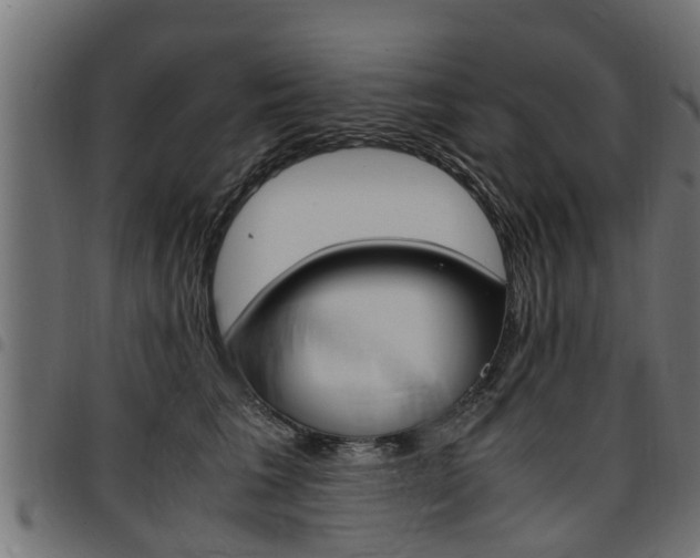 X0000094950613200711291106