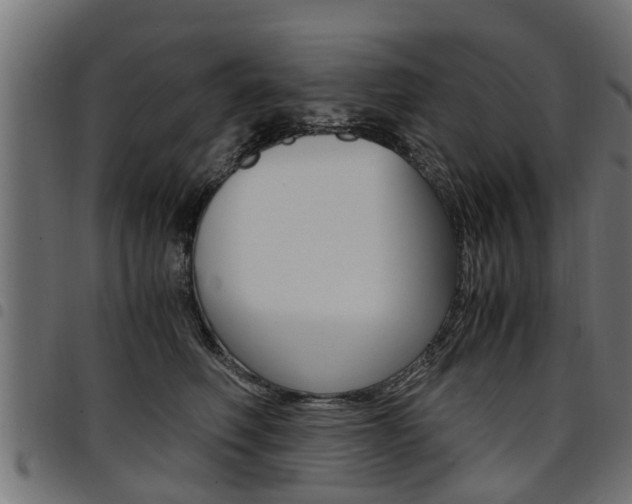X0000094950614200711291106