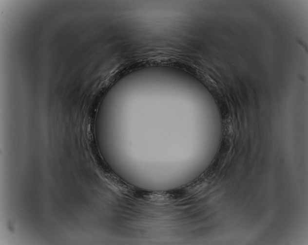 X0000094950615200711291106